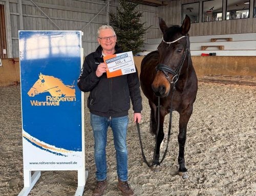 Frischer Anstrich für unsere Reithalle